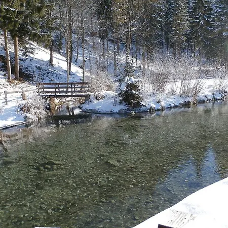 Gotthardt Apartman Flachau