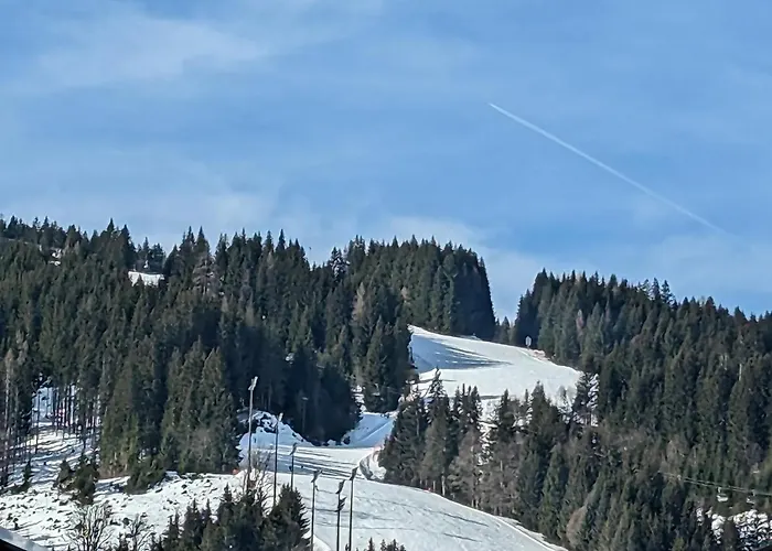 Gotthardt * Flachau