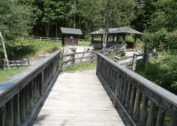 Gotthardt 弗拉绍