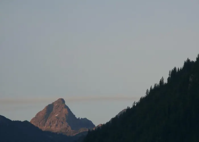 Gotthardt * Flachau