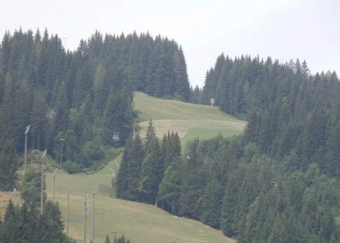 Gotthardt Flachau