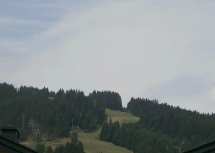 Gotthardt *